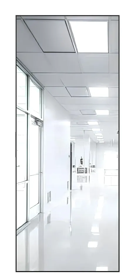 Межкомнатная дверь REFLECT R 01 Аляска Анодированная кромка AL (Brandoors)