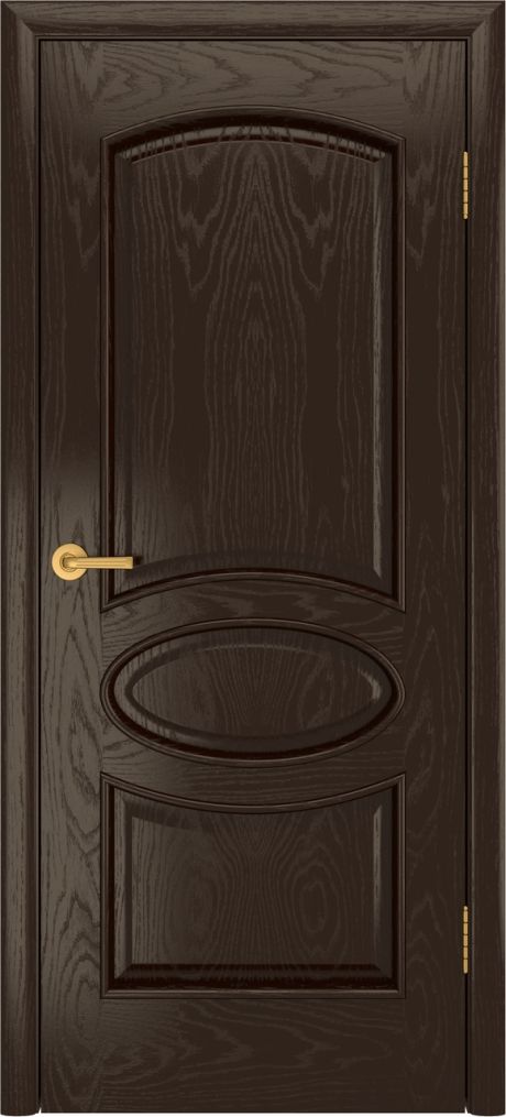 Глухая межкомнатная дверь Рим Темный шоколад Шпон (Бипи Дорс)